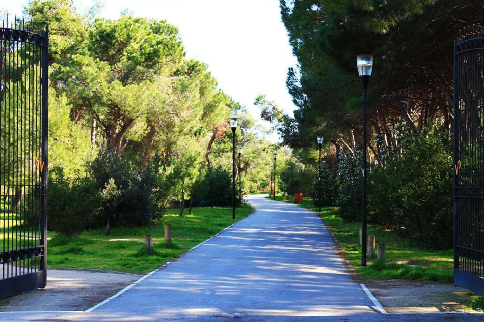 לינה וארוחת בוקר פסקרה Carducci 83 מראה חיצוני תמונה